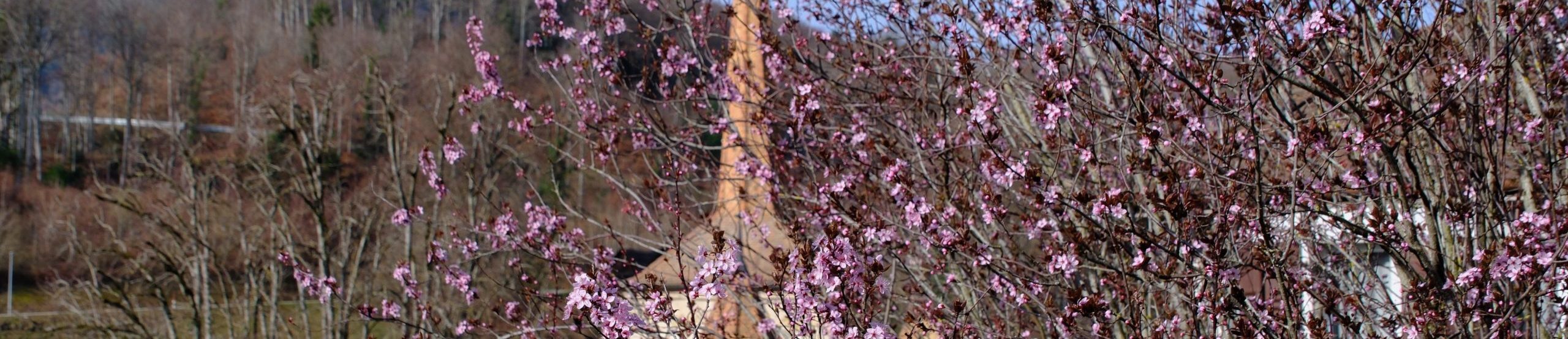 L&rsquo;avant-printemps à Romainmôtier